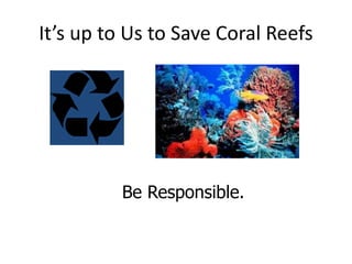 It’s up to Us to Save Coral Reefs
Be Responsible.
 