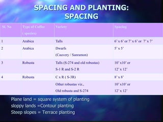 SPACING AND PLANTING:
SPACING
Plane land = square system of planting
sloppy lands =Contour planting
Steep slopes = Terrace planting
Sl. No Type of Coffee
( species)
Variety Spacing
1 Arabica Talls 6’ x 6’ or 7’ x 6’ or 7’ x 7’
2 Arabica Dwarfs
(Cauvery / Sanramon)
5’ x 5’
3 Robusta Talls (S-274 and old robustas)
S-1 R and S-2 R
10’ x10’ or
12’ x 12’
4 Robusta C x R ( S-3R) 8’ x 8’
Other robustas viz.,
Old robusta and S-274
10’ x10’ or
12’ x 12’
 