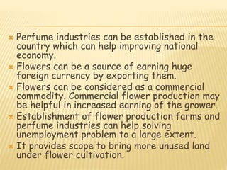  Perfume industries can be established in the
country which can help improving national
economy.
 Flowers can be a source of earning huge
foreign currency by exporting them.
 Flowers can be considered as a commercial
commodity. Commercial flower production may
be helpful in increased earning of the grower.
 Establishment of flower production farms and
perfume industries can help solving
unemployment problem to a large extent.
 It provides scope to bring more unused land
under flower cultivation.
 