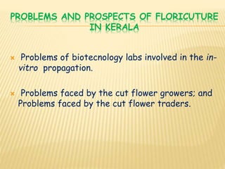 PROBLEMS AND PROSPECTS OF FLORICUTURE
IN KERALA
 Problems of biotecnology labs involved in the in-
vitro propagation.
 Problems faced by the cut flower growers; and
Problems faced by the cut flower traders.
 