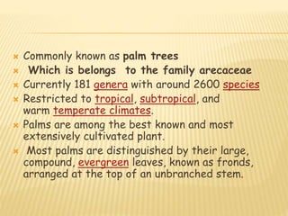  Commonly known as palm trees
 Which is belongs to the family arecaceae
 Currently 181 genera with around 2600 species
 Restricted to tropical, subtropical, and
warm temperate climates.
 Palms are among the best known and most
extensively cultivated plant.
 Most palms are distinguished by their large,
compound, evergreen leaves, known as fronds,
arranged at the top of an unbranched stem.
 