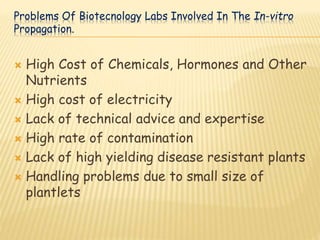 Problems Of Biotecnology Labs Involved In The In-vitro
Propagation.
 High Cost of Chemicals, Hormones and Other
Nutrients
 High cost of electricity
 Lack of technical advice and expertise
 High rate of contamination
 Lack of high yielding disease resistant plants
 Handling problems due to small size of
plantlets
 