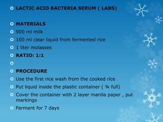  LACTIC ACID BACTERIA SERUM ( LABS)
 MATERIALS
 900 ml milk
 100 ml clear liquid from fermented rice
 1 liter molasses
 RATIO: 1:1

 PROCEDURE
 Use the first rice wash from the cooked rice
 Put liquid inside the plastic container ( ¾ full)
 Cover the container with 2 layer manila paper , put
markings
 Ferment for 7 days
 