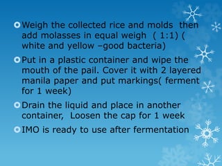 Weigh the collected rice and molds then
add molasses in equal weigh ( 1:1) (
white and yellow –good bacteria)
Put in a plastic container and wipe the
mouth of the pail. Cover it with 2 layered
manila paper and put markings( ferment
for 1 week)
Drain the liquid and place in another
container, Loosen the cap for 1 week
IMO is ready to use after fermentation
 