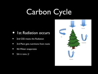 Carbon Cycle
• 1st Radiation occurs
• 2nd C02 meets the Radiation
• 3rd Plant gets nutritions from roots
• 4th Water evaporates
• 5th it rains :)!
 