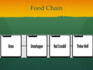 Food Chain
 