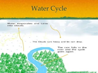 Water Cycle
 