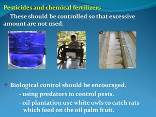 Pesticides and chemical fertilizers
 These should be controlled so that excessive
amount are not used.




 Biological control should be encouraged.
     - using predators to control pests.
     - oil plantation use white owls to catch rats
       which feed on the oil palm fruit.
 