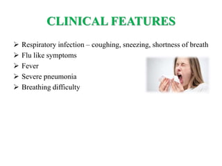 CLINICAL FEATURES
 Respiratory infection – coughing, sneezing, shortness of breath
 Flu like symptoms
 Fever
 Severe pneumonia
 Breathing difficulty
 