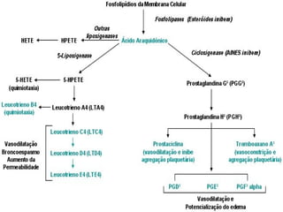 ANTI-INFLAMATÓRIOS e ANALGÉSICOS