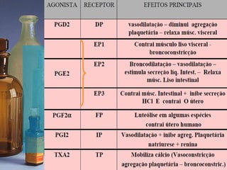 ANTI-INFLAMATÓRIOS e ANALGÉSICOS