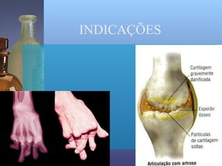 INDICAÇÕES
 