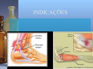 INDICAÇÕES
 