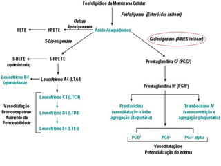 ANTI-INFLAMATÓRIOS e ANALGÉSICOS