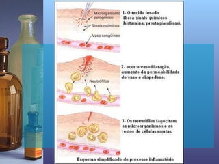 ANTI-INFLAMATÓRIOS e ANALGÉSICOS