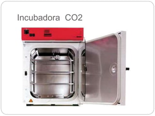 Incubadora CO2
 