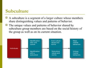 Subculture
 A subculture is a segment of a larger culture whose members
share distinguishing values and patterns of behavior.
 The unique values and patterns of behavior shared by
subculture group members are based on the social history of
the group as well as on its current situation.
 