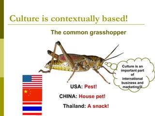 Culture is contextually based!
The common grasshopper
USA: Pest!
CHINA: House pet!
Thailand: A snack!
Culture is an
important part
of
international
business and
marketing!!!
 