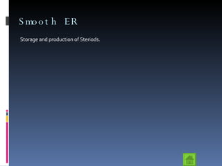 Smooth ER Storage and production of Steriods. 