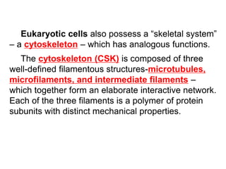 Eukaryotic cells also possess a “skeletal system”
– a cytoskeleton – which has analogous functions.
The cytoskeleton (CSK) is composed of three
well-defined filamentous structures-microtubules,
microfilaments, and intermediate filaments –
which together form an elaborate interactive network.
Each of the three filaments is a polymer of protein
subunits with distinct mechanical properties.
 