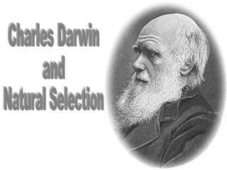 Darwin and natural_selection