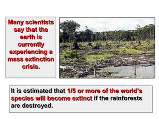 It is estimated thatIt is estimated that 1/5 or more of the world’s1/5 or more of the world’s
speciesspecies will become extinctwill become extinct if the rainforestsif the rainforests
are destroyed.are destroyed.
It is estimated thatIt is estimated that 1/5 or more of the world’s1/5 or more of the world’s
speciesspecies will become extinctwill become extinct if the rainforestsif the rainforests
are destroyed.are destroyed.
Many scientistsMany scientists
say that thesay that the
earth isearth is
currentlycurrently
experiencing aexperiencing a
mass extinctionmass extinction
crisis.crisis.
Many scientistsMany scientists
say that thesay that the
earth isearth is
currentlycurrently
experiencing aexperiencing a
mass extinctionmass extinction
crisis.crisis.
 