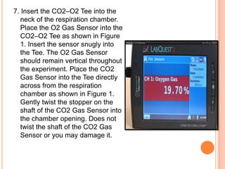 7. Insert the CO2–O2 Tee into the
   neck of the respiration chamber.
   Place the O2 Gas Sensor into the
   CO2–O2 Tee as shown in Figure
   1. Insert the sensor snugly into
   the Tee. The O2 Gas Sensor
   should remain vertical throughout
   the experiment. Place the CO2
   Gas Sensor into the Tee directly
   across from the respiration
   chamber as shown in Figure 1.
   Gently twist the stopper on the
   shaft of the CO2 Gas Sensor into
   the chamber opening. Does not
   twist the shaft of the CO2 Gas
   Sensor or you may damage it.
 