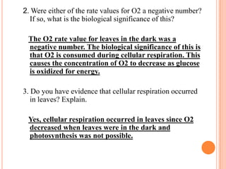 2. Were either of the rate values for O2 a negative number?
  If so, what is the biological significance of this?

 The O2 rate value for leaves in the dark was a
 negative number. The biological significance of this is
 that O2 is consumed during cellular respiration. This
 causes the concentration of O2 to decrease as glucose
 is oxidized for energy.

3. Do you have evidence that cellular respiration occurred
   in leaves? Explain.

 Yes, cellular respiration occurred in leaves since O2
 decreased when leaves were in the dark and
 photosynthesis was not possible.
 