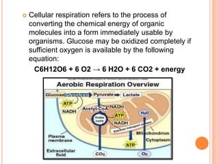    Cellular respiration refers to the process of
    converting the chemical energy of organic
    molecules into a form immediately usable by
    organisms. Glucose may be oxidized completely if
    sufficient oxygen is available by the following
    equation:
      C6H12O6 + 6 O2 → 6 H2O + 6 CO2 + energy
 