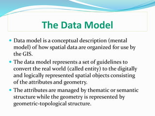 The Data Model
 Data model is a conceptual description (mental
model) of how spatial data are organized for use by
the GIS.
 The data model represents a set of guidelines to
convert the real world (called entity) to the digitally
and logically represented spatial objects consisting
of the attributes and geometry.
 The attributes are managed by thematic or semantic
structure while the geometry is represented by
geometric-topological structure.
 