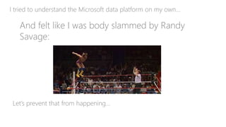 I tried to understand the Microsoft data platform on my own…
And felt like I was body slammed by Randy
Savage:
Let’s prevent that from happening…
 