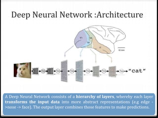 Deep Neural Network :Architecture
A Deep Neural Network consists of a hierarchy of layers, whereby each layer
transforms the input data into more abstract representations (e.g edge -
>nose -> face). The output layer combines those features to make predictions.
 