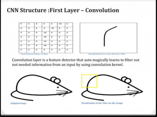 CNN Structure :First Layer – Convolution
Convolution layer is a feature detector that auto magically learns to filter out
not needed information from an input by using convolution kernel.
 