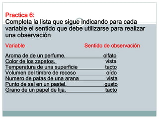 Practica 6:
Completa la lista que sigue indicando para cada
variable el sentido que debe utilizarse para realizar
una observación
Variable
Aroma de de un perfume.
Color de los zapatos.
Temperatura de una superficie
Volumen del timbre de receso
Numero de patas de una arana
Punto de sal en un pastel.
Grano de un papel de lija.

Sentido de observación
olfato
vista
tacto
oído
vista
gusto
tacto

 