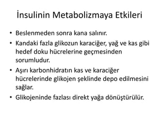 İnsulinin Metabolizmaya Etkileri
• Beslenmeden sonra kana salınır.
• Kandaki fazla glikozun karaciğer, yağ ve kas gibi
hedef doku hücrelerine geçmesinden
sorumludur.
• Aşırı karbonhidratın kas ve karaciğer
hücrelerinde glikojen şeklinde depo edilmesini
sağlar.
• Glikojeninde fazlası direkt yağa dönüştürülür.
 