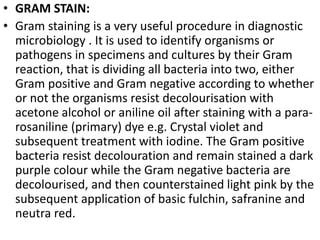 • GRAM STAIN:
• Gram staining is a very useful procedure in diagnostic
microbiology . It is used to identify organisms or
pathogens in specimens and cultures by their Gram
reaction, that is dividing all bacteria into two, either
Gram positive and Gram negative according to whether
or not the organisms resist decolourisation with
acetone alcohol or aniline oil after staining with a para-
rosaniline (primary) dye e.g. Crystal violet and
subsequent treatment with iodine. The Gram positive
bacteria resist decolouration and remain stained a dark
purple colour while the Gram negative bacteria are
decolourised, and then counterstained light pink by the
subsequent application of basic fulchin, safranine and
neutra red.
 