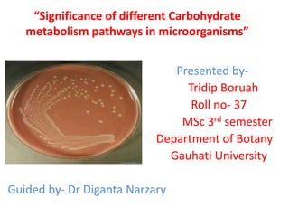 “Significance of different Carbohydrate
metabolism pathways in microorganisms”
Presented by-
Tridip Boruah
Roll no- 37
MSc 3rd semester
Department of Botany
Gauhati University
Guided by- Dr Diganta Narzary
 