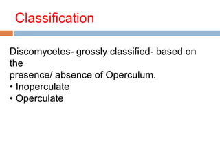 Classification 
Discomycetes- grossly classified- based on 
the 
presence/ absence of Operculum. 
• Inoperculate 
• Operculate 
 