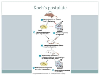 Koch’s postulate