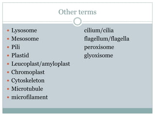 Other termsLysosome				cilium/ciliaMesosome			flagellum/flagellaPiliperoxisomePlastid				glyoxisomeLeucoplast/amyloplastChromoplastCytoskeletonMicrotubulemicrofilament