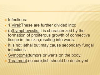  Infectious:
 1.Viral:These are further divided into;
 (a)Lymphoycstis:It is characterized by the
formation of proliferous growth of connective
tissue in the skin,resuting into warts.
 It is not lethal but may cause secondary fungal
infections
 Symptoms:tumors or warts on the body.
 Treatment:no cure;fish should be destroyed
 