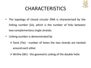 CHARACTERISTICS
• The topology of closed circular DNA is characterized by the
linking number (Lk), which is the number of links between
two complementary single strands.
• Linking number is demonstrated by
Twist (Tw) - number of times the two strands are twisted
around each other
Writhe (Wr) - the geometric coiling of the double helix
 