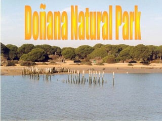 Doñana by marta and andrea