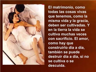 El matrimonio, como
todas las cosas vivas
que tenemos, como la
misma vida y la gracia,
deben ser cultivadas. Y
en la tierra la vida se
cultiva muchas veces
con sacrificio. El amor,
como hay que
construirlo día a día,
también se puede
destruir día a día, si no
se cultiva o se
descuida.
 