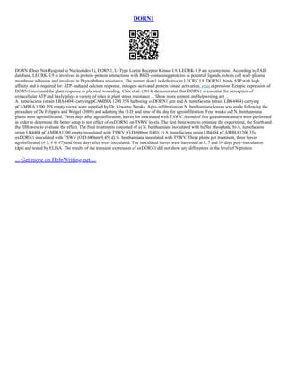 DORN1
DORN (Does Not Respond to Nucleotides 1), DORN1, L–Type Lectin Receptor Kinase I.9, LECRK–I.9 are synonymous. According to TAIR
database, LECRK–I.9 is involved in protein–protein interactions with RGD–containing proteins as potential ligands, role in cell wall–plasma
membrane adhesion and involved in Phytophthora resistance. The mutant dorn1 is defective in LECRK I.9. DORN1, binds ATP with high
affinity and is required for: ATP–induced calcium response, mitogen–activated protein kinase activation, gene expression. Ectopic expression of
DORN1 increased the plant response to physical wounding. Choi et.al. (2014) demonstrated that DORN1 is essential for perception of
extracellular ATP and likely plays a variety of roles in plant stress resistance ... Show more content on Helpwriting.net ...
A. tumefaciens (strain LBA4404) carrying pCAMBIA 1200 35S harboring oxDORN1 gen and A. tumefaciens (strain LBA4404) carrying
pCAMBIA 1200 35S empty vector were supplied by Dr. Kiwamu Tanaka. Agro–infiltration on N. benthamiana leaves was made following the
procedure of De Felippes and Weigel (2009) and adapting the O.D. and time of the day for agroinfiltration. Four weeks old N. benthamiana
plants were agroinfiltrated. Three days after agroinfiltration, leaves for inoculated with TSWV. A total of five greenhouse assays were performed
in order to determine the better setup to test effect of oxDORN1 on TSWV levels. The first three were to optimize the experiment, the fourth and
the fifth were to evaluate the effect. The final treatments consisted of a) N. benthamiana inoculated with buffer phosphate; b) A. tumefaciens
strain LB4404 pCAMBIA1200 empty inoculated with TSWV (O.D.600nm 0.40); c) A. tumefaciens strain LB4404 pCAMBIA1200 35s
oxDORN1 inoculated with TSWV (O.D.600nm 0.45) d) N. benthamiana inoculated with TSWV. Three plants per treatment, three leaves
agroinfiltrated (# 5, # 6, #7) and three days after were inoculated. The inoculated leaves were harvested at 3, 7 and 10 days post–inoculation
(dpi) and tested by ELISA. The results of the transient expression of oxDORN1 did not show any differences in the level of N protein
... Get more on HelpWriting.net ...
 