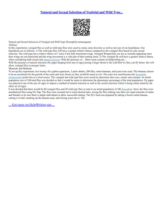 Natural and Sexual Selection of Vestigial and Wild Type...
Natural and Sexual Selection of Vestigial and Wild Type Drosophila melanogaster
Abstract
In this experiment, vestigial flies as well as wild type flies were used to create some diversity as well as test one of our hypotheses. Our
hypotheses are as follows; 1) The wild type flies will have a greater relative fitness compared to the vestigial flies based on only sexual
selection. The wild type has a relative fitness of 1 since it has fully functional wings. Vestigial Winged flies are not as sexually appealing since
their wings are not functional and the wing movement is a vital part of their mating ritual. 2) The vestigial fly will have a greater relative fitness
when considering both sexual and natural selection. With the presence of ... Show more content on Helpwriting.net ...
With the presence of natural selection (fly paper hanging from top of cage) posing a larger threat to the wild flies b/c they can fly better, this will
allow vestigial flies to prosper better.
Materials and Methods
To set up this experiment, two twenty–five gallon aquariums, 3 petri–dishes, 200 flies, rotten bananas, and yeast were used. The bananas chosen
to be an accelerant for the growth of the yeast and were frozen so they would be easier to cut. The yeast was used because the drosophila
melanogaster prefer this as a food source. The vestigial and wild type flies were sexed (to determine their sex), sorted, and counted. An initial
population size of 100 total flies was decided so that it would be easier to determine the phenotypic percentage of the total population. Fly paper
was placed in one of the sets of cages to impose a method of natural selection as well as the sexual selection which is being solely tested by the
other set of cages.
It was decided that there would be 80 vestigial flies and 20 wild type flies to total to an initial population of 100 drosophila. Next, the flies were
anesthetized flies using Fly Nap. The flies were counted out to reach desired ratio, sexing the flies making sure there are equal amounts of males
and females to be sure there is ample individuals to allow successful mating. The fly's food was prepared by taking a frozen rotten banana,
cutting it in half, mashing up the banana meat, and mixing yeast into it. The
... Get more on HelpWriting.net ...
 