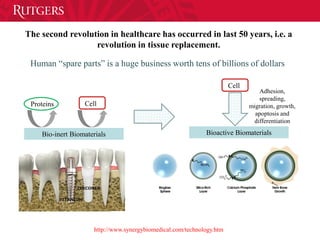 The second revolution in healthcare has occurred in last 50 years, i.e. a
revolution in tissue replacement.
Bio-inert Biomaterials
CellProteins
Bioactive Biomaterials
Cell
Adhesion,
spreading,
migration, growth,
apoptosis and
differentiation
Human “spare parts” is a huge business worth tens of billions of dollars
http://www.synergybiomedical.com/technology.htm
 