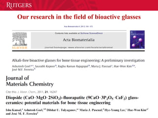 Our research in the field of bioactive glasses
 