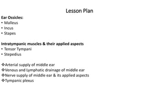 Lesson Plan
Ear Ossicles:
• Malleus
• Incus
• Stapes
Intratympanic muscles & their applied aspects
• Tensor Tympani
• Stepedius
Arterial supply of middle ear
Venous and Lymphatic drainage of middle ear
Nerve supply of middle ear & its applied aspects
Tympanic plexus
 