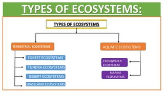 TYPES OF ECOSYSTEMS:
TYPES OF ECOSYSTEMS
FOREST ECOSYSTEMS
TUNDRA ECOSYSTEMS
DESERT ECOSYSTEMS
GRASSLAND ECOSYSTEMS
TERRESTRIAL ECOSYSTEMS AQUATIC ECOSYSTEMS
FRESHWATER
ECOSYSTEM
MARINE
ECOSYSTEMS
 